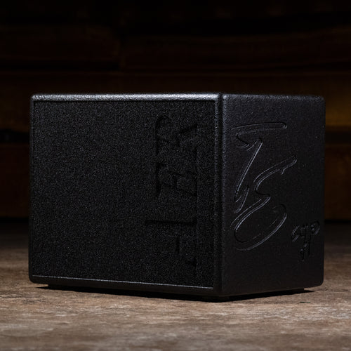 AER Compact 60/4 Tommy Emmanuel Twin Channel Acoustic Combo Amplifier w/OGB - Used