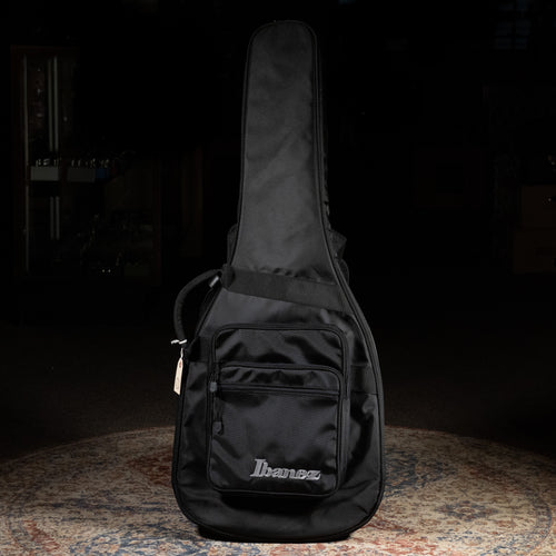 Ibanez TOD10 Tim Henson Signature Electric Guitar, Classic Silver w/GB - Used