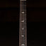 2020 PRS Silver Sky LTD Electric Guitar, Nebula w/OGB - Used