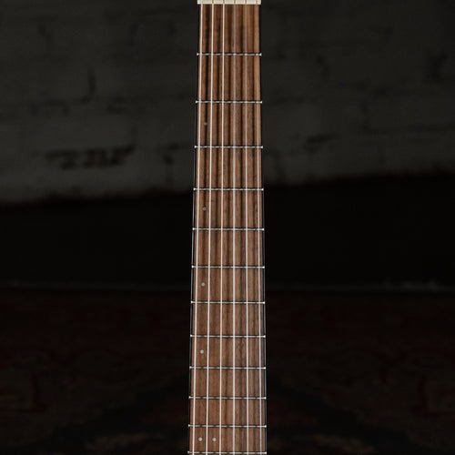 Ibanez FRH10N-RGF Thinline Nylon Acoustic-Electric Rose Gold Metallic Flat w/Soft Case - Used