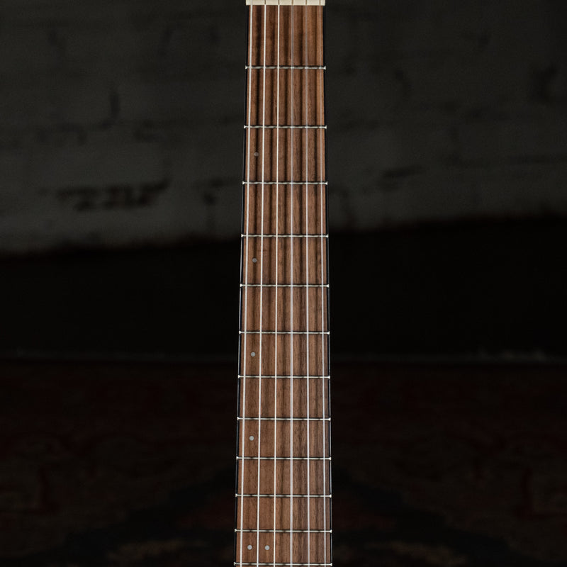 Ibanez FRH10N-RGF Thinline Nylon Acoustic-Electric Rose Gold Metallic Flat w/Soft Case - Used
