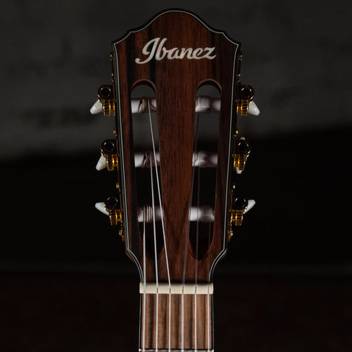 Ibanez FRH10N-RGF Thinline Nylon Acoustic-Electric Rose Gold Metallic Flat w/Soft Case - Used