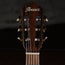 Ibanez FRH10N-RGF Thinline Nylon Acoustic-Electric Rose Gold Metallic Flat w/Soft Case - Used