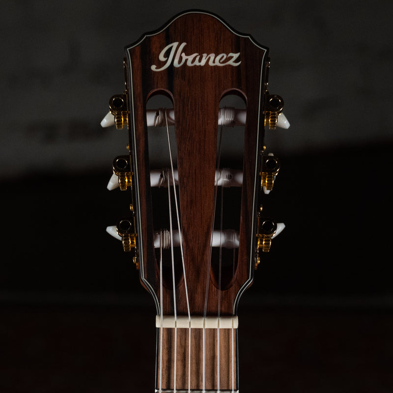 Ibanez FRH10N-RGF Thinline Nylon Acoustic-Electric Rose Gold Metallic Flat w/Soft Case - Used
