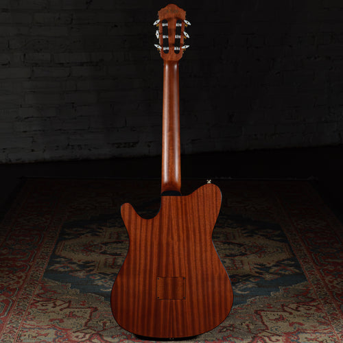 Ibanez FRH10N-RGF Thinline Nylon Acoustic-Electric Rose Gold Metallic Flat w/Soft Case - Used