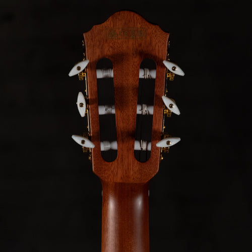 Ibanez FRH10N-RGF Thinline Nylon Acoustic-Electric Rose Gold Metallic Flat w/Soft Case - Used