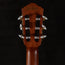 Ibanez FRH10N-RGF Thinline Nylon Acoustic-Electric Rose Gold Metallic Flat w/Soft Case - Used