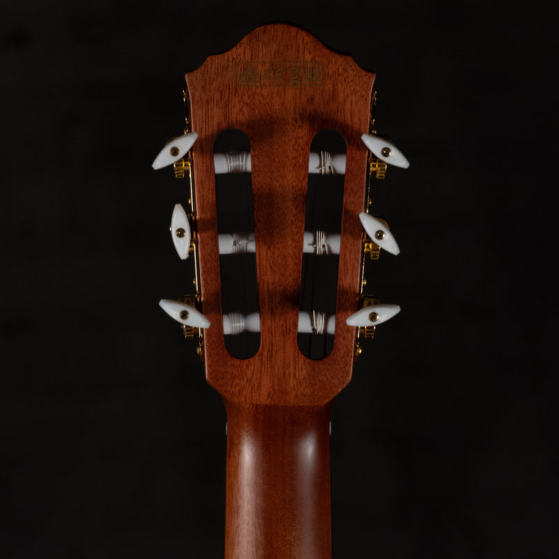 Ibanez FRH10N-RGF Thinline Nylon Acoustic-Electric Rose Gold Metallic Flat w/Soft Case - Used