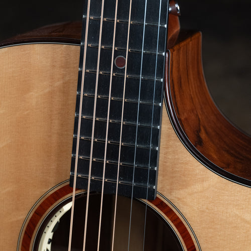 2023 Breedlove Custom Concert CE Acoustic-Electric Guitar, Cocobolo/Bearclaw Sitka w/ OHSC - Used