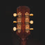 Iris Guitar Company OG Burst Acoustic Guitar, w/ OHSC - Used