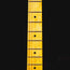2022 Fender American Professional II Stratocaster Electric Guitar w/OHSC - Used