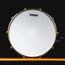 Dark Horse 14x6.5" Snare Drum, Chrome Over Brass - Used