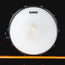 Dark Horse 14x6.5" Snare Drum, Green - Used
