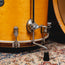 Pacific PDP 3-Piece Concert Maple Shell Drum Kit, Natural - Used