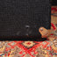 Supro MOFO 25W 1 x 12" Guitar Combo Amplifier w/Footswitch - Used