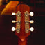 Iris Guitar Company DF Acoustic Guitar, Adirondack Spruce Top/Indian Rosewood w/OHSC - Used