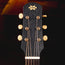 Iris Guitar Company DF Acoustic Guitar, Adirondack Spruce Top/Indian Rosewood w/OHSC - Used
