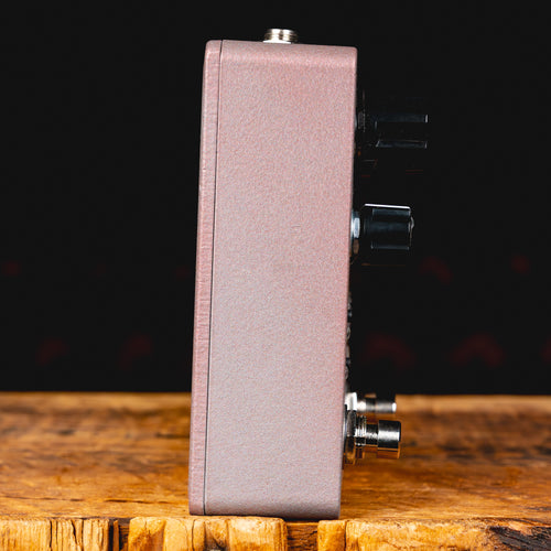 Electronic Audio Experiments Prismatic Wall V2 Sympathetic String Resonator Effect Pedal w/ Box - Used