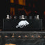 EarthQuaker Devices Sunn O))) Life Pedal V3 Octave Distortion and Booster Effect w/Box - Used