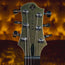 2023 Relish Mary Custom Semi-Hollow Electric Guitar w/ OHSC, Rainbow - Used
