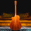 2025 Taylor 214ce Grand Auditorium Acoustic Guitar, Natural w/ OGB - Used