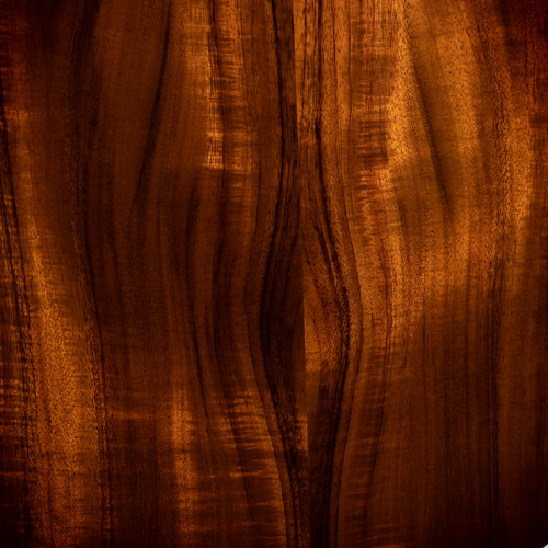 Taylor Limited Edition K68E Grand Orchestra 12-String Figured Hawaiian Koa Acoustic Guitar