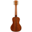 Kala 20th Anniversary Concert Ukulele Koa/Mahogany w/Bag, Natural