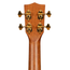 Kala 20th Anniversary Concert Ukulele Koa/Mahogany w/Bag, Natural