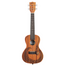 Kala Voyage Collection Courage Mahogany Concert Ukulele w/ Bag