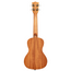 Kala Voyage Collection Gardenia Mahogany Concert Ukulele w/ Bag