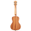Kala Voyage Collection Guidance Mahogany Concert Ukulele w/ Bag
