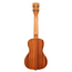 Kala Voyage Collection Hibiscus Mahogany Concert Ukulele w/ Bag