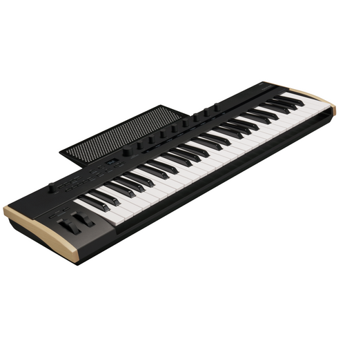 Korg Keystage 49 Midi Keyboard Controller with Polyphonic Aftertouch Korg Keystage 49 Midi Keyboard Controller with Polyphonic Aftertouch