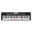 Casio LK-S250 Casiotone 61-Key Portable Arranger Keyboard, Black