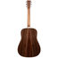Martin D-35 Standard Series Acoustic Guitar, Spruce Top, East Indian Rosewood Back & Sides