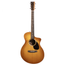 Martin Road Series SC-13E Acoustic-Electric Guitar, Special Burst w/Soft Case