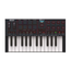 Akai MPK Mini IV 25-Key Compact MIDI Keyboard and Pad Controller, Black