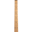 Music Man Stingray Special Bass, Maple Fingerboard, Hot Honey