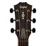 Taylor Next Generation 314ce Grand Auditorium Acoustic-Electric Guitar, Sitka Spruce/Sapele