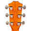 Taylor Next Generation 512ce Grand Concert Acoustic-Electric Guitar, Western Red Cedar/Mahogany