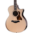 Taylor LTD Next Generation 814ce Grand Auditorium Acoustic Guitar, Casablanca Beige Metallic