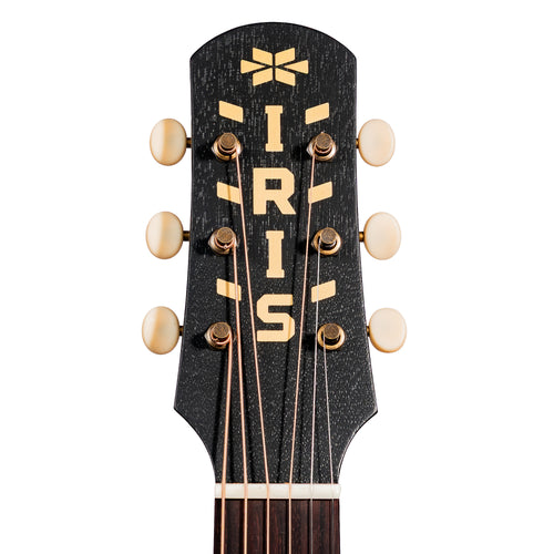 Iris Guitar Company OG Acoustic Guitar, Bearclaw Spruce/Mahogany, Natural
