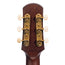Iris Guitar Company OG Acoustic Guitar, Bearclaw Spruce/Mahogany, Natural