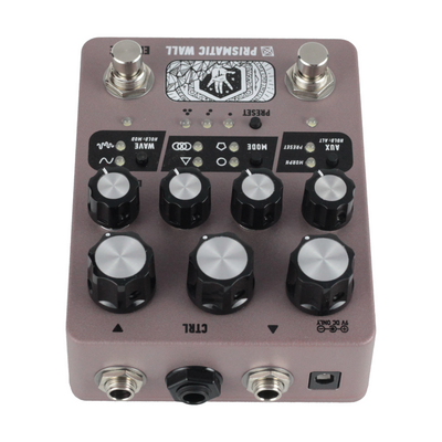 Electronic Audio Experiments Prismatic Wall Sympathetic String Resonator Effect Pedal