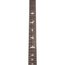 PRS CE24 Semi-Hollow Electric Guitar, Black Amber