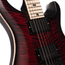 PRS Dustie Waring DW CE 24 "Floyd" Electric Guitar, Waring Burst