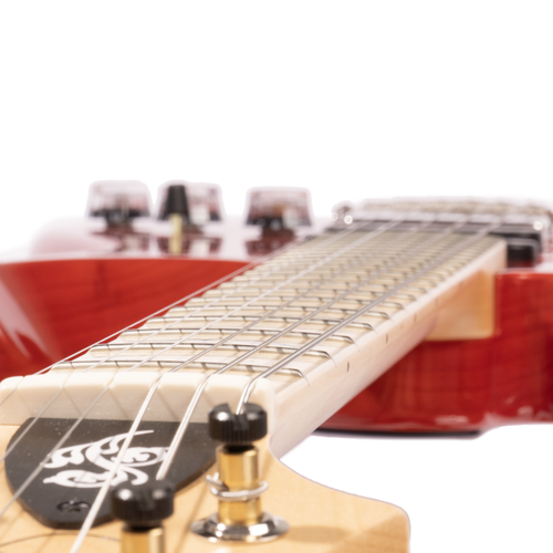 PRS Fiore Electric Guitar, Swamp Ash/Maple, Amaryllis w/Gigbag