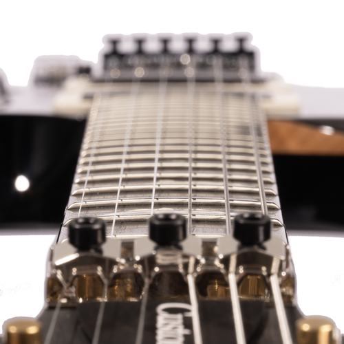 PRS Custom 24 Floyd 10-Top Electric Guitar, Purple Mist