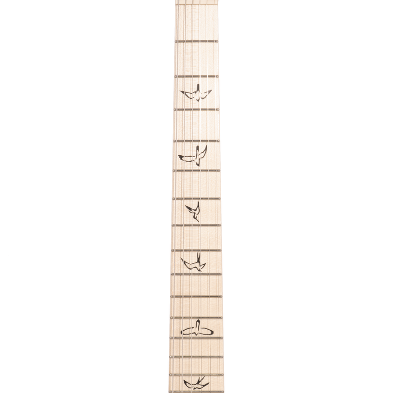 PRS Myles Kennedy Electric Guitar, Hunters Green