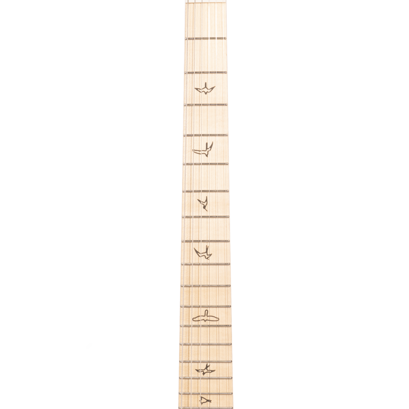 PRS Silver Sky Electric Guitar, Maple Fingerboard, Polar Blue w/Gigbag